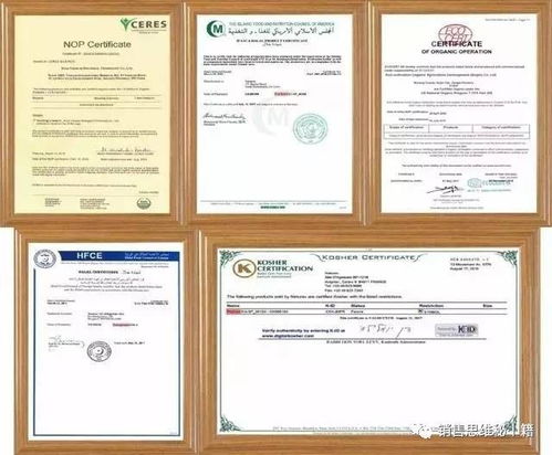 調(diào)理與治療的完美結(jié)合 一位肺癌患者的康復(fù)之旅